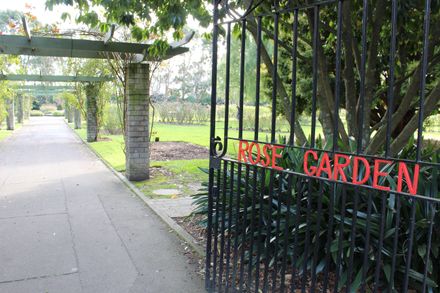 The Rose Garden in June