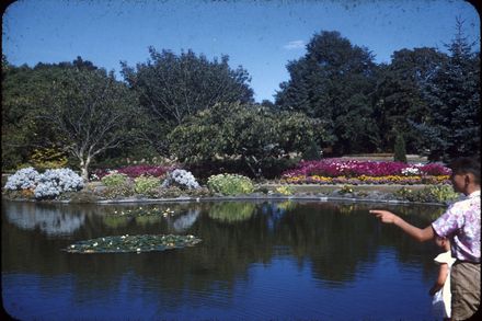 Fish Pond, Victoria Esplanade