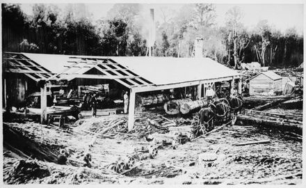 Henry Adsett's Sawmill, Taonui Road, near Feilding