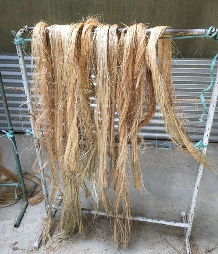Dried and Bleached Flax Fibre