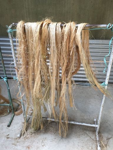 Dried and Bleached Flax Fibre