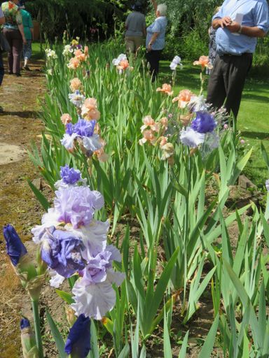 Woodleigh' garden, Marton