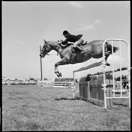 2018N_2017-20_MS000949b - Skilful Showjumping