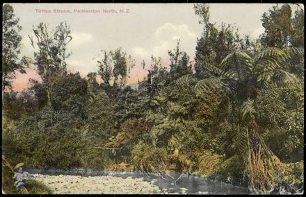 Tiritea Stream, Palmerston North