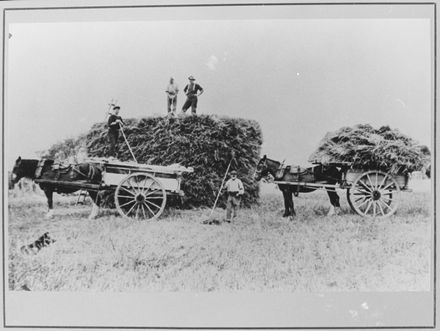 Horse-Drawn Drays and Sheaves of Oats, Chowen's Farm
