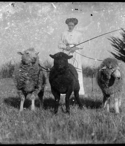 Woman with Harnessed Sheep