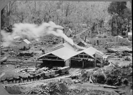 Cut Timber Hauled from Timber Yards, Apiti