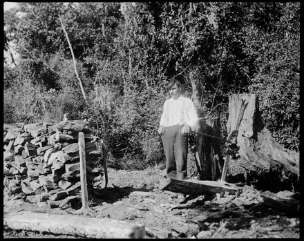 Arthur Koehler Stumping on His Farm, Richardson's Line, Bunnythorpe