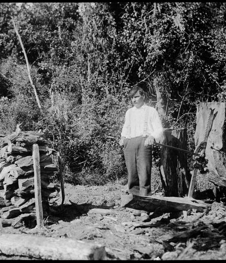 Arthur Koehler Stumping on His Farm, Richardson's Line, Bunnythorpe