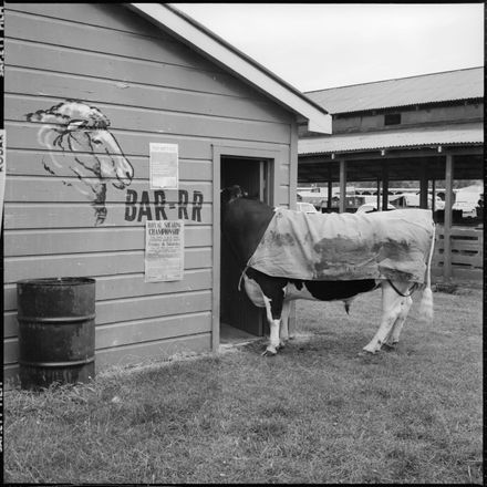 Had A Thirst For A Beer