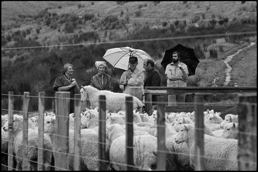 2025N_2027-20_Carter_042979_021