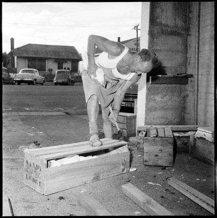 "Short Bid For Freedom" Chicken Escaping