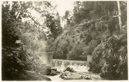 Weir on Turitea Stream - Resource cover image