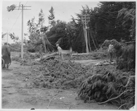 Storm Damage - Featherston Street East, Beyond Ruahine Street