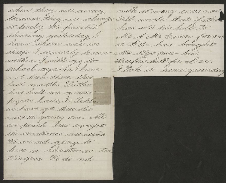 2020P_Monrad-S2_032966_002