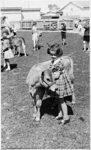 Ngaire Pettigrew, Ashhurst School Calf Club Day