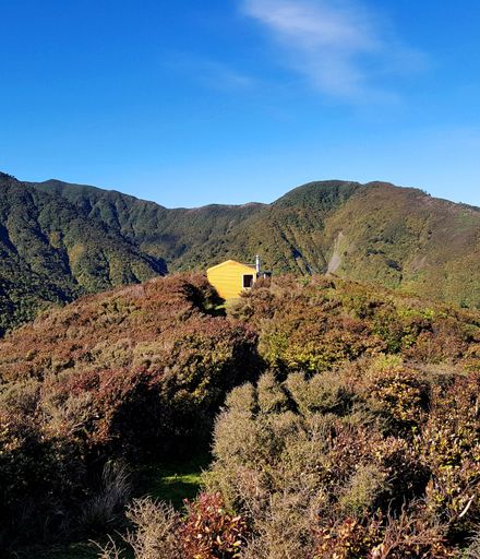 Kiritaki Hut, Ruahine Ranges
