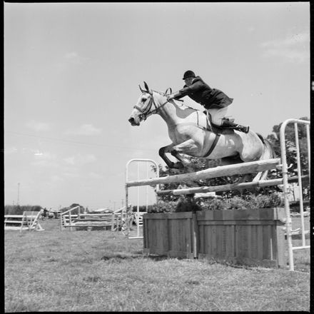 2018N_2017-20_MS000945b - Skilful Showjumping