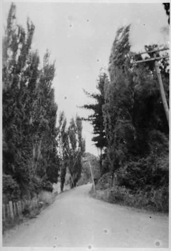 "Monro's Hill" on Riverbank Road, Fitzherbert West