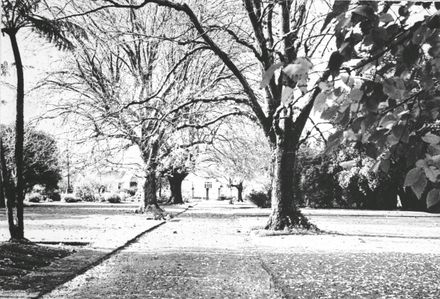 Walkway, Victoria  Esplanade