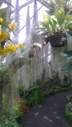 Hanging Gardens