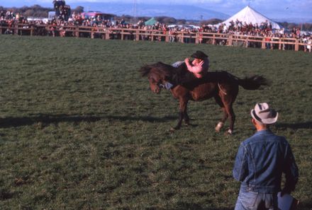 Linton Rodeo