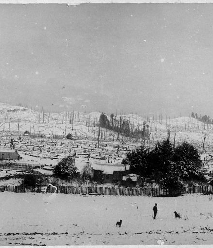Henry W Bennett's Farm, Apiti, in winter