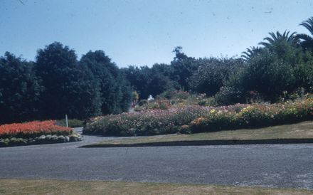 Flowering Herbaceous Bedding Plants at the Victoria Esplanade
