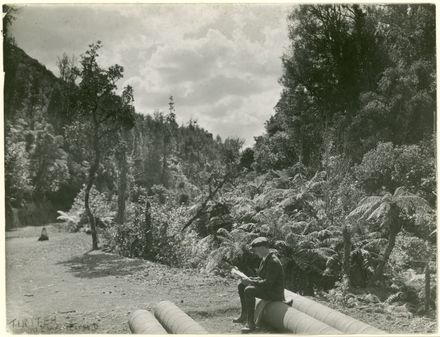 "Tiritea New Road" - Resource cover image