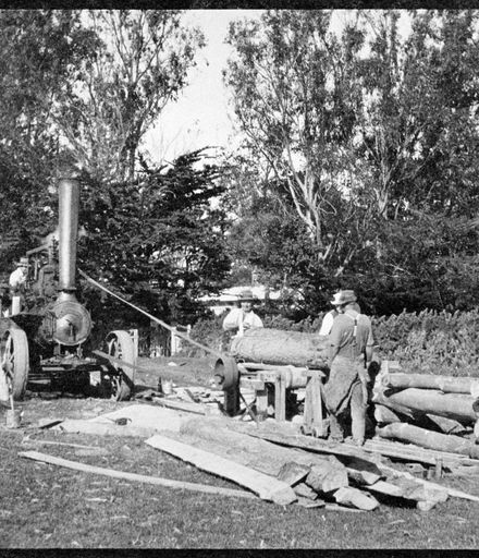 Traction Engine Cutting Timber