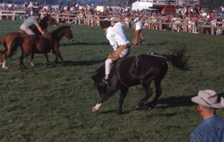 Linton Rodeo