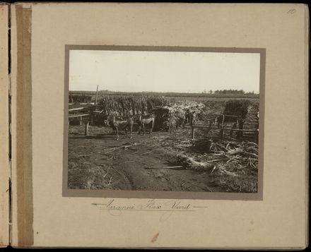 Souvenir of Miranui and Weka Flaxmills Page 21