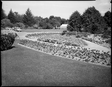 "Masses of Tulips Provide a Wealth of Beauty" Spring Display at the Esplanade - Resource cover image