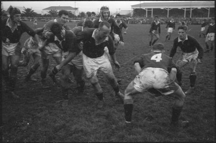 Rugby - Manawatu v Wellington - Resource cover image