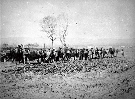 Ploughing Team at Work