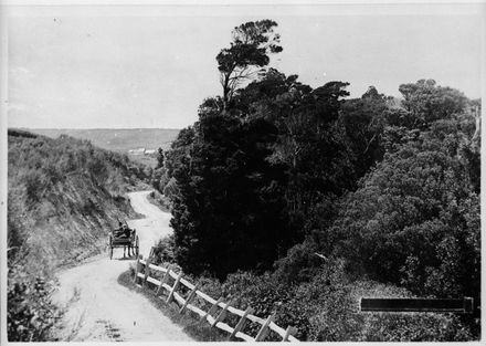 Road Between Awahuri and Feilding
