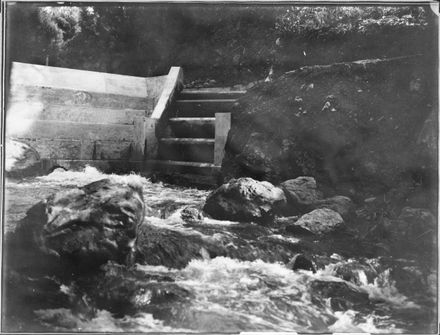 Second Dam at Turitea Stream, Upstream Side