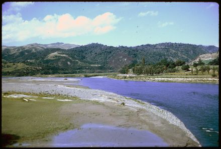 Manawatu River from Ashhurst Bridge