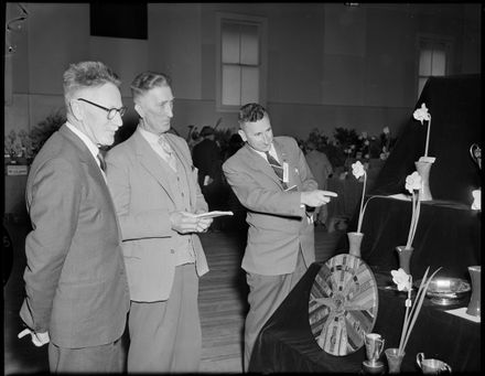 "Daffodils Under Scrutiny" - Palmerston North Horticultural Society Show