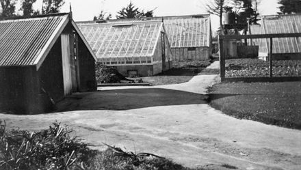 Glasshouses at the Nairn market garden, College Street