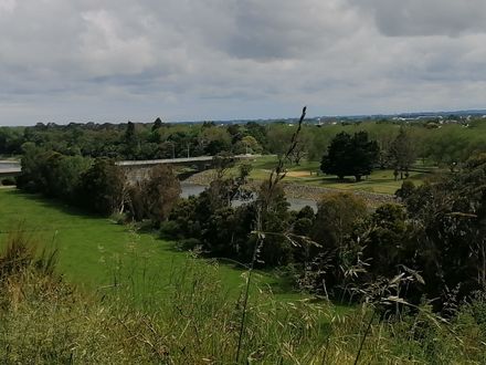 View from Te Motu o Poutoa
