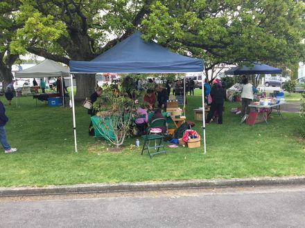 Inaugural Ashhurst Community Market 2015