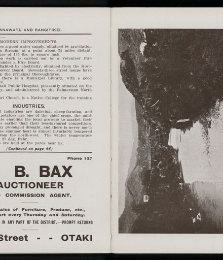Bradbury's Illustrated Series No. XI. Manawatu and Rangitikei Districts 26