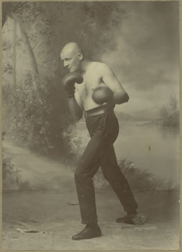 Unidentified Boxer