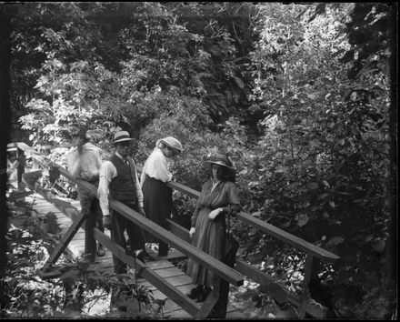 Bush Walk - Berry Family collection - Resource cover image