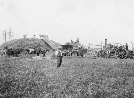 Threshing mill at work, Bunnythorpe