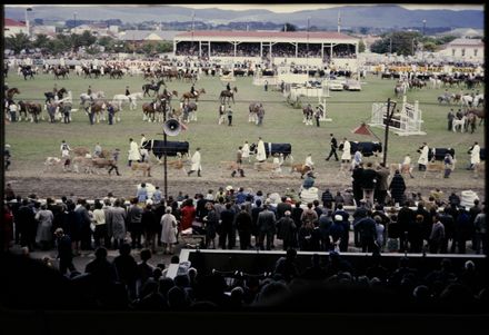 A&P Show, Palmerston North