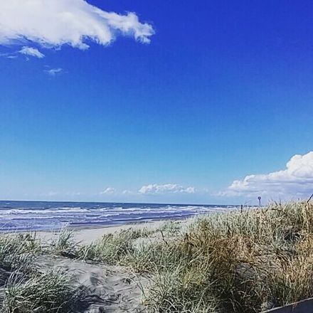 View of Foxton Beach - Resource cover image