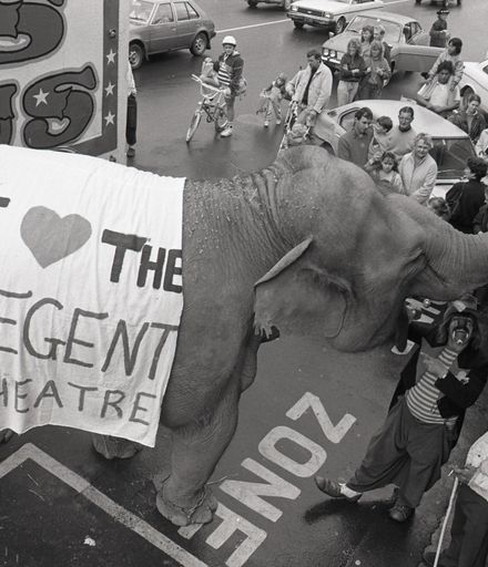 "Elephant Weighs in for Regent"