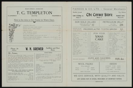 'Try Ashhurst First' newspaper 2